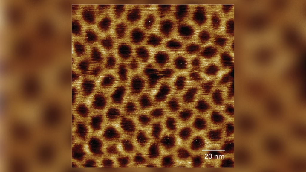 Uma imagem microscópica das membranas das células bacterianas em um padrão hexagonal de “waffle”.