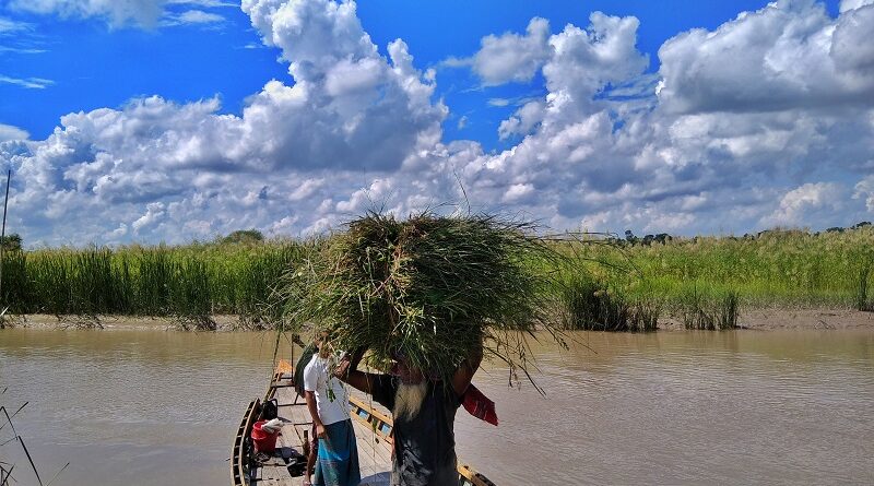 Bangladesh Farmers on a boat carry their culture.